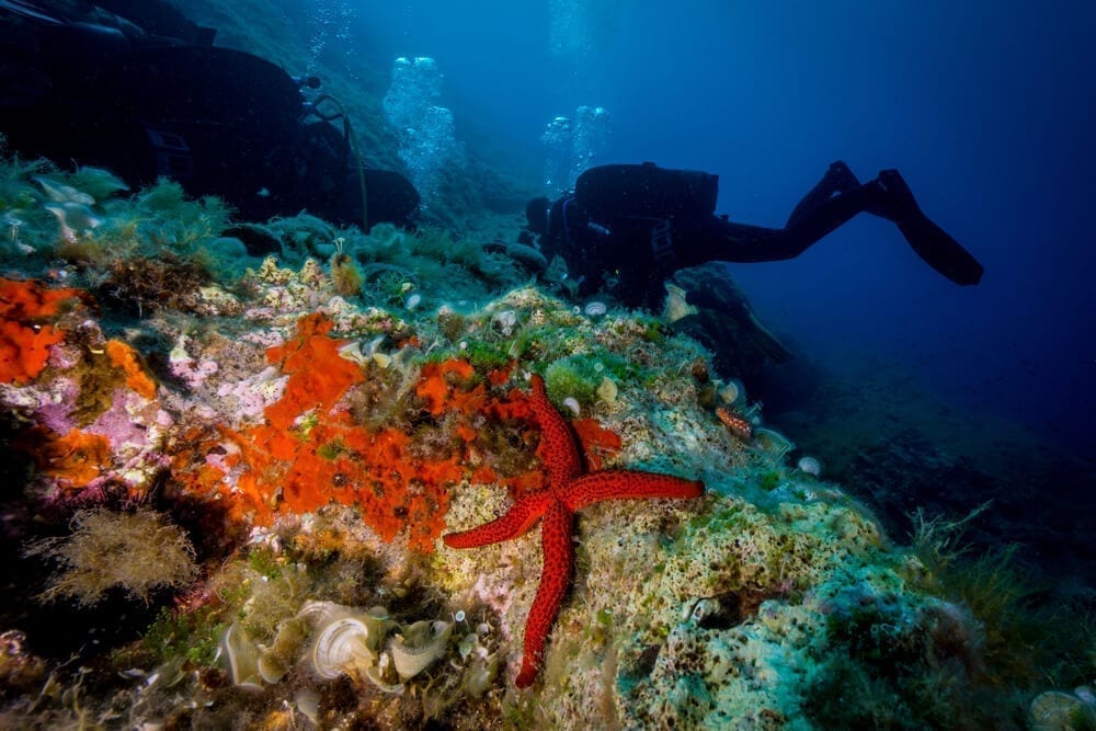 Best diving spots in Croatia I campeggi della Dalmazia